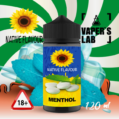 Фото жижа для вейпа купити native flavour menthol 120 ml