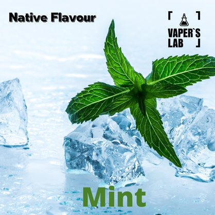 Фото для Аромки Native Flavour Mint 30мл