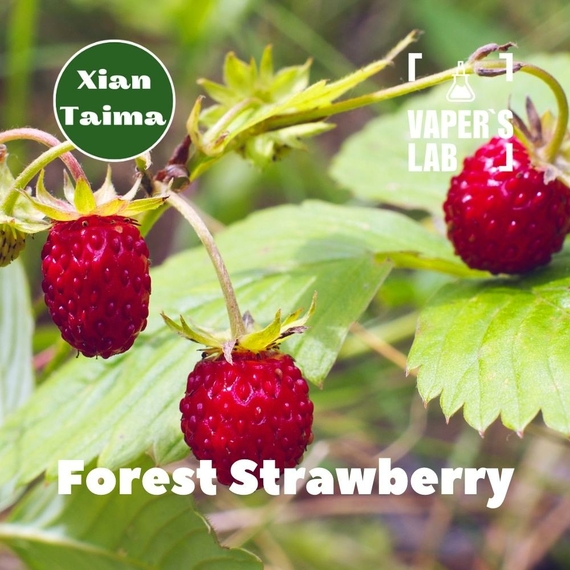 Відгуки на Ароматизатор для вейпа Xi'an Taima "Forest Strawberry" (Суниця) 