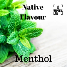 Жижа для пода Native Flavour Salt 15 мл Menthol