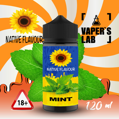 Фото жидкость для электронных сигарет с никотином native flavour mint 120ml