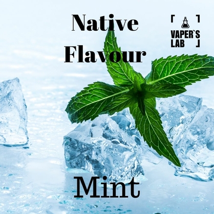 Фото жидкость для электронных сигарет с никотином native flavour mint 120ml