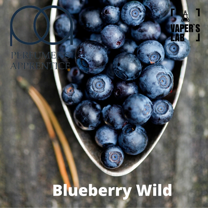 Фото, Видео, Аромки для самозамеса TPA "Blueberry Wild" (Свежая черника) 