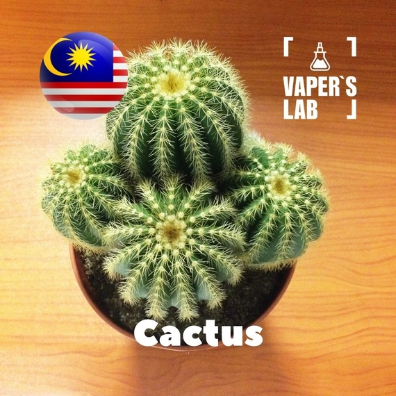 Відгуки на Aroma для вейпа Malaysia flavors Cactus