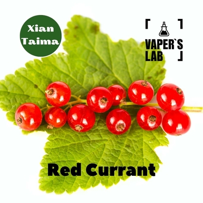 Фото, Видео, Ароматизаторы вкуса Xi'an Taima "Red Currant" (Красная смородина) 