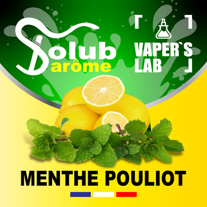 Фото, Відеоогляди на Ароматизатори для сольового нікотину Solub Arome "Menthe pouliot" (Лимон та м'ята) 