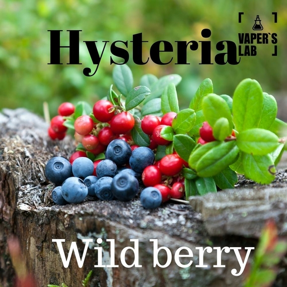 Відгуки Сольова заправка Hysteria Salt "Wild Berry" 15 ml 