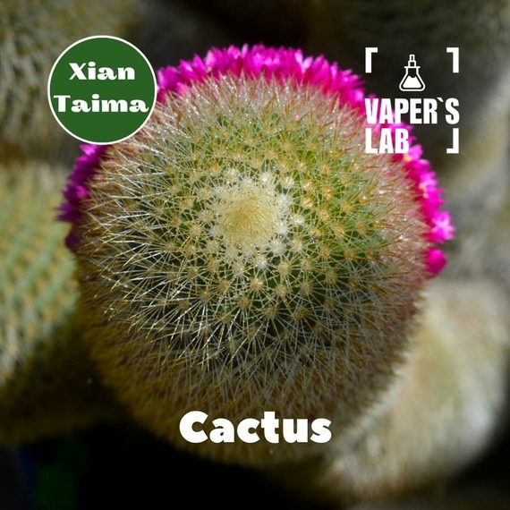 Отзывы на Ароматизаторы вкуса Xi'an Taima "Cactus" (Кактус) 