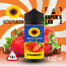  Native Flavour Strawberry 120