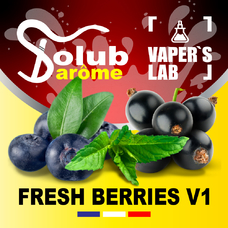 Ароматизатори для вейпа Solub Arome Fresh Berries v1 Чорниця смородина м'ята ментол