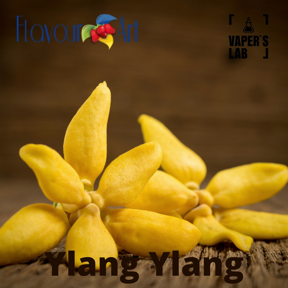 Отзывы на аромку FlavourArt Ylang Ylang Иланг-иланг