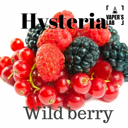 Фото, Видео на жижа Hysteria Wild berry 100 ml