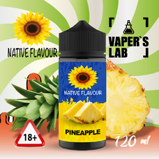 Жижа для вейпа Native Flavour Pineapple 120 ml