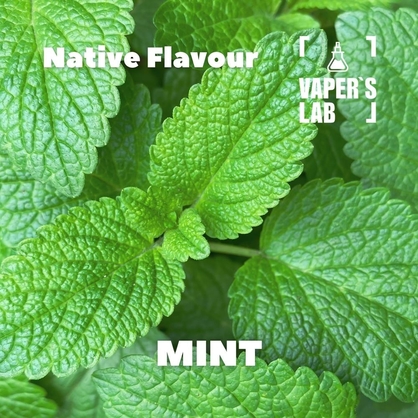 Фото для Аромки Native Flavour Mint 30мл