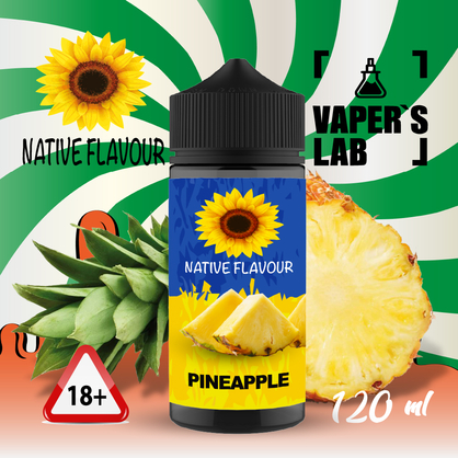 Фото жидкость для вейпа без никотина native flavour pineapple 120 ml