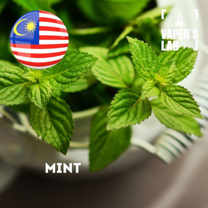 Фото на Ароматизатор для вейпа Malaysia flavors Mint