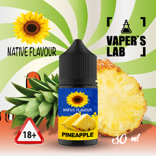 Рідини Salt для POD систем Native Flavour Pineapple 30