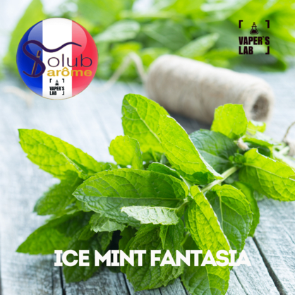 Фото, Відеоогляди на Арома для самозамісу Solub Arome "Ice mint fantasia" (М'ята ментол та кулер) 