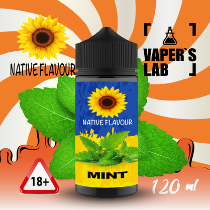 Фото жидкость для электронных сигарет с никотином native flavour mint 120ml