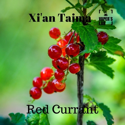 Фото, Видео, Ароматизаторы вкуса Xi'an Taima "Red Currant" (Красная смородина) 