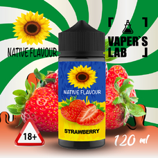 Купить жижу для вейпа без никотина Native Flavour Strawberry 120 ml