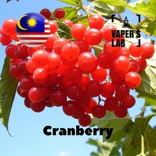 Купити ароматизатор для самозамісу Malaysia flavors Cranberry