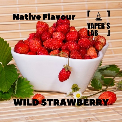 Фото, Відеоогляди на Кращі смаки для самозамісу Native Flavour "Wild Strawberry" 30мл 