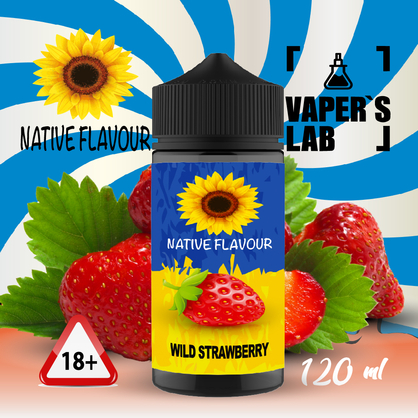 Фото купити жижу для вейпа без нікотину native flavour wild strawberry 120