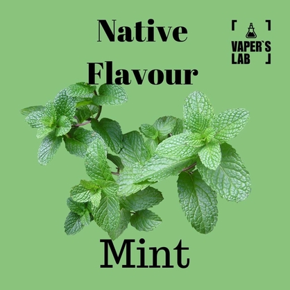 Фото купити жижу native flavour mint 120 ml