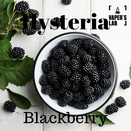 Фото, Відео на Заправки для вейпа Hysteria Blackberry 100 ml