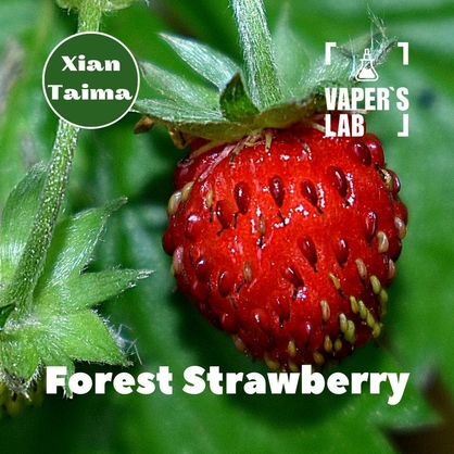 Фото, Відеоогляди на Ароматизатори для вейпа Xi'an Taima "Forest Strawberry" (Суниця) 