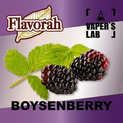 Фото на аромку Flavorah Boysenberry Бойзенова ягода