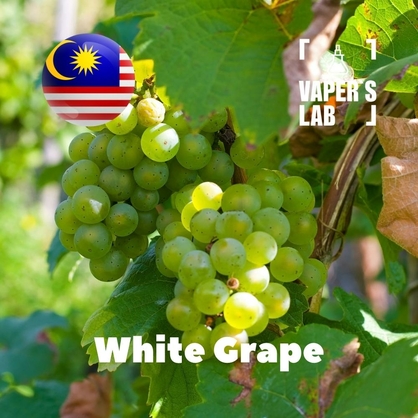 Фото, Відеоогляди на Ароматизатори Malaysia flavors White Grape