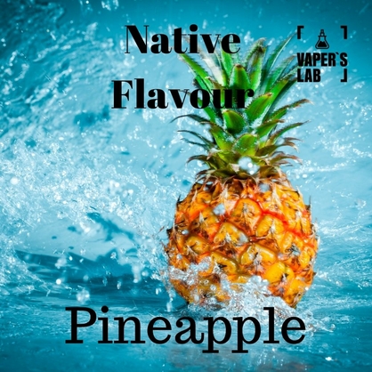 Фото жидкость для вейпа без никотина native flavour pineapple 120 ml