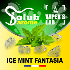  Solub Arome Ice mint fantasia М'ята ментол та кулер