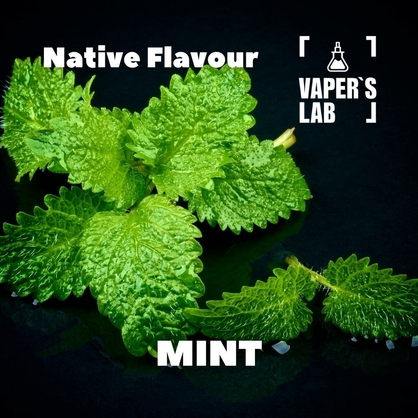 Фото для Аромки Native Flavour Mint 30мл