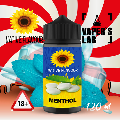 Фото жижа для вейпа купить native flavour menthol 120 ml