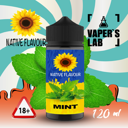 Фото жидкость для электронных сигарет с никотином native flavour mint 120ml