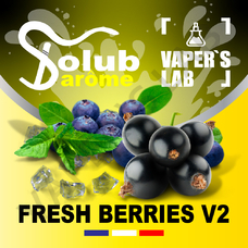  Solub Arome Fresh Berries v2 Чорниця смородина м'ята ментол