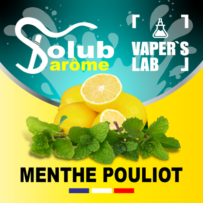 Фото, Відеоогляди на Ароматизатори для сольового нікотину Solub Arome "Menthe pouliot" (Лимон та м'ята) 