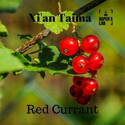 Фото, Відеоогляди на Кращі смаки для самозамісу Xi'an Taima "Red Currant" (Червона смородина) 