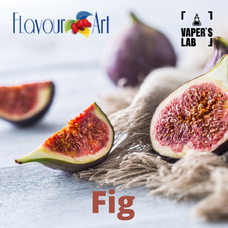 Ароматизатори для вейпа FlavourArt "Fig (Інжир)"