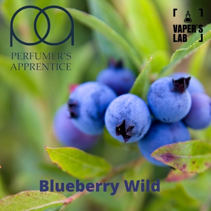 Фото, Відеоогляди на Преміум ароматизатор для електронних сигарет TPA "Blueberry Wild" (Свіжа чорниця) 