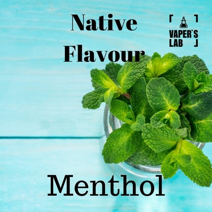 Фото жижа для вейпа купить native flavour menthol 120 ml