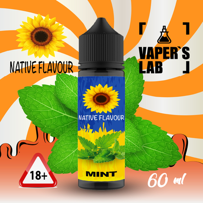 Фото купить жижу native flavour mint 60 ml