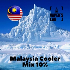 Премиум ароматизатор для электронных сигарет Malaysia flavors Malaysia cooler Mix WS-23 10%+WS-5 10%