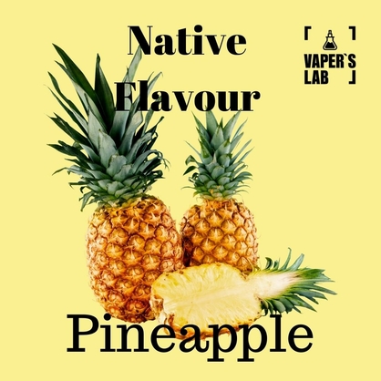 Фото жидкость для вейпа без никотина native flavour pineapple 120 ml