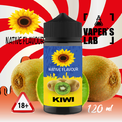 Фото заправка до електронної сигарети native flavour kiwi 120 ml