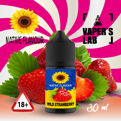 Фото сольова жижа для пода native flavour salt wild strawberry 30 ml