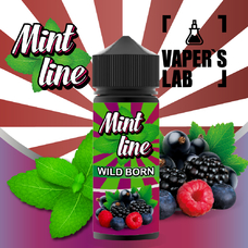 Жижа 120 мл - Жидкость для вейпа Mint line 120 мл Wild born